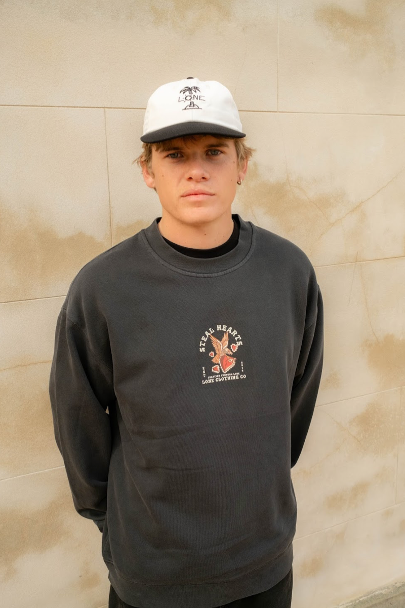 PALM 6 PANEL